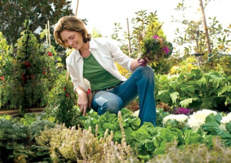 Tips to Jumpstart your Gardening Business